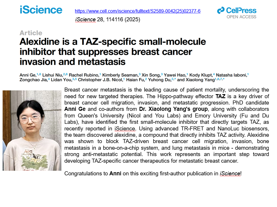
                         Graduate Studies                                                    - 
                          Alexidine is a TAZ-specific small-molecule inhibitor that suppresses breast cancer invasion and metastasis iScience                                                    